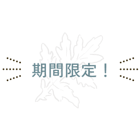 期間限定